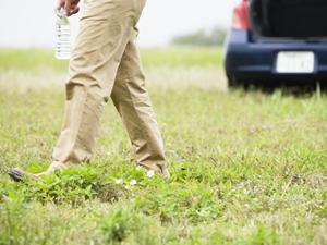 中古の軽自動車の品揃えが豊富です