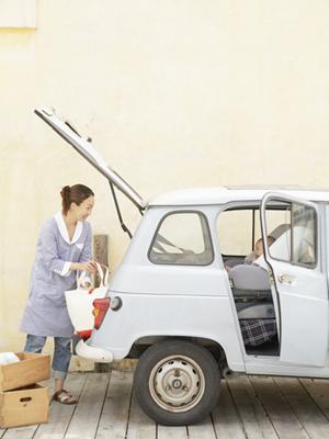 輸入車の取り扱う会社についてです