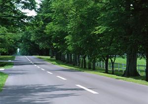 車検のコバックで効率的に検査しよう