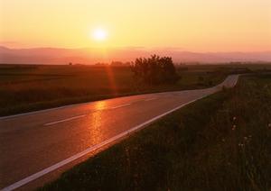 一宮市の板金塗装で愛車のツヤも蘇る