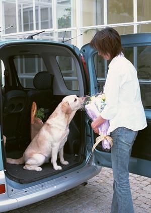 車検即日を導入することで売上をアップ