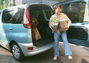 高度なベンツコーディングについて